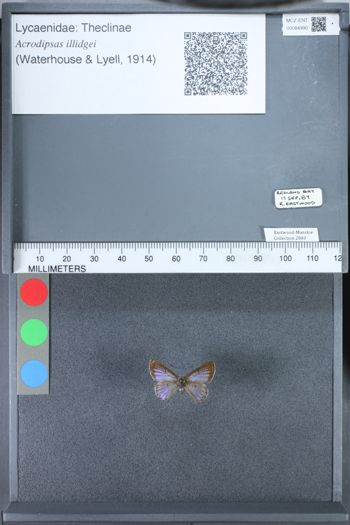 Media type: image;   Entomology 84990